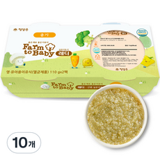 팜투베이비 레디 실온이유식 중기, 소고기, 110g, 10개