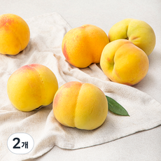이화원 새벽경매 복숭아, 1.2kg, 2개