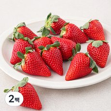 스윗볼 GAP 인증 프리미엄 유러피안 딸기, 500g(특대과), 2팩