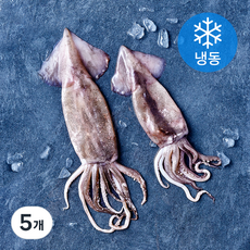 비비수산 살아있을때 깔끔하게 손질한 통오징어 (냉동), 5개, 270g(2미)