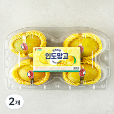 프레시몬 인도망고 4입, 960g, 2개