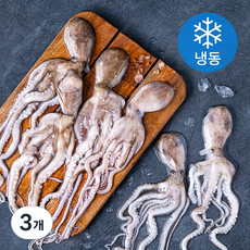 고고새우 낙지 (냉동), 850g(6미), 3개