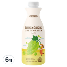 데이웰 쥬피터 청포도 농축 에이드, 1.12kg, 6개