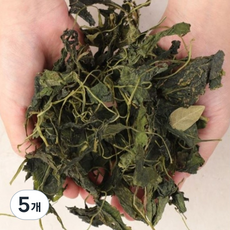 나물이네 건취나물, 5개, 100g