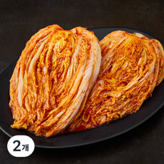 선우용녀의 마음담은 맛있는 포기김치, 5kg, 2개