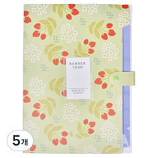 골드팡 폴더 플라워 아코디언파일 정리함 A4, 그린, 5개