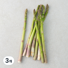수입산 아스파라거스, 200g, 3개