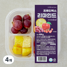 푸드팩토리 프루티박스 리마인드, 4개, 400g