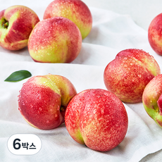 아주마 산지직송 저탄소 인증 신비복숭아, 800g, 6박스