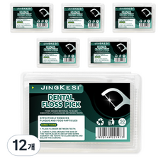 드위트리 플라스 픽 스마트 일회용 치간 치실, 7.6cm, 50개입, 12개