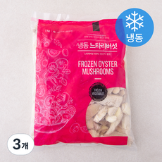 냉동식품 느타리버섯 (냉동), 1kg, 3개