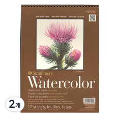 스트라스모아 S4 수채화 전문가용 스케치북 스프링 GI440001, 23 x 30 cm, 12매, 2개