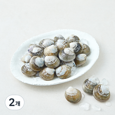 바다림 중국산 생물 모시조개, 2개, 500g