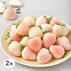 스윗볼 GAP 인증 눈꽃 딸기 특과, 500g, 2개