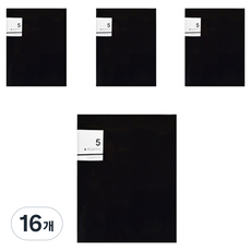에코청운 플러스 클리어화일 A4 5p, 검정, 16개