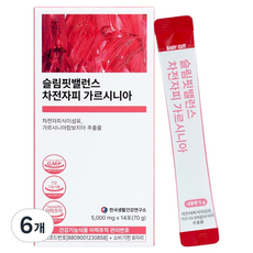 한국생활건강연구소 슬림핏밸런스 차전자피 가르시니아 14p, 6개, 70g