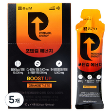 종근당 포텐겔 에너지 10p, 500g, 5개