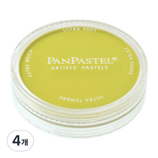 팬파스텔 신한화구 파스텔 BRIGHT YELLOW GREEN 680.5 9ml, 1색, 4개