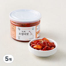 자연다감 녹차 오징어젓, 250g, 5개
