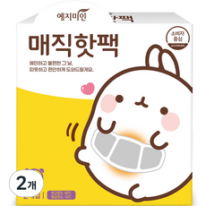 예지미인 몰랑이 매직핫팩 2p, 2개