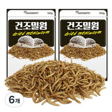 소동펫 건조밀웜 고슴도치 사료, 150g, 6개