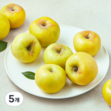 셀렉트팜 A 골드 사과, 1.5kg(소과, 8~9입), 5개