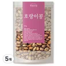 한방선생 매화강낭콩 호랑이콩 특품, 600g, 5개