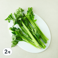 친환경 컷팅 셀러리, 300g, 2개
