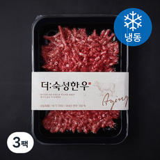 더 숙성한우 정육 다짐육 (냉동), 300g, 3팩