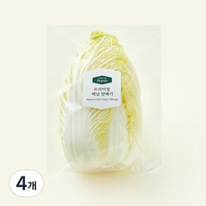 프리미엄 해남 알배기, 450g, 1개입, 4개