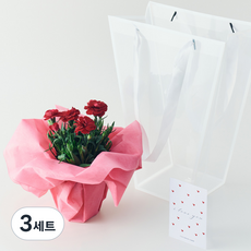 농업회사법인 주식회사 코코도르팜 생화 카네이션 화분 레드 어버이날 스승의날 선물 + 메세지카드 세트 + 쇼핑백, 혼합색상, 3세트