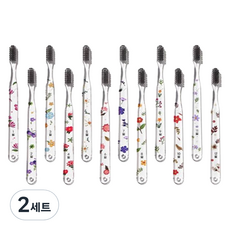 WEDENT 威登 月份牙刷12入組 花朵設計, 2套, 12入