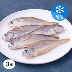 품질인증 초록바다 영광 굴비 (냉동), 350g(5미), 3개