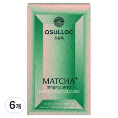 오설록 말차플러스 콜라겐 10p, 50g, 6개