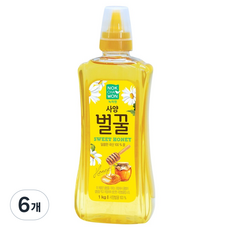 녹차원 사양벌꿀, 6개, 1kg