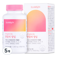 푸딜라이트 한알의 양심 1 200mg, 5개, 90정