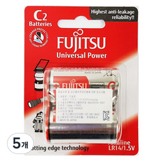FUJITSU 富士通 通用電源鹼性C型AA電池, 2入, 5個