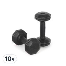 아리프 블랙라인 범퍼 옥타곤 덤벨, 2kg, 10개