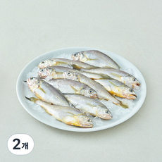 산지직송 일품 법성포 선별참조기 (냉장), 2개, 600g(소, 10미)