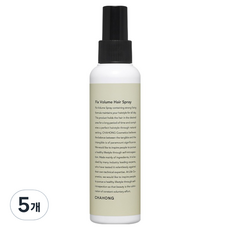 차홍 픽스 볼륨 헤어 스프레이, 120ml, 5개