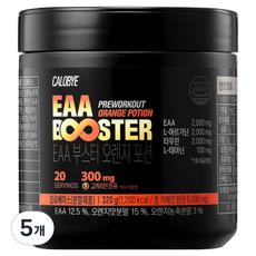 칼로바이 EAA 부스터 오렌지 포션, 320g, 5개
