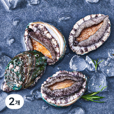 아라보감 완도 산지직송 전복 (냉장), 300g 내외(대, 4마리), 2개