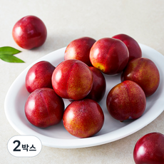 아주마 저탄소 인증 산지직송 영동 퍼플퀸 자두, 1kg, 2박스