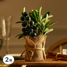 에버그린 조화 화분, 베리블루, 2개