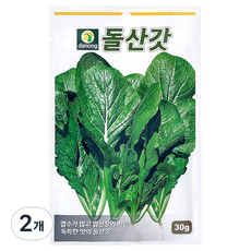 다농 돌산갓 씨앗 30g, 2개