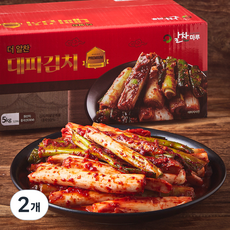 더알찬 대파김치, 5kg, 2개