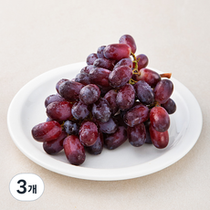 PSK 칠레 적포도, 490g, 3개