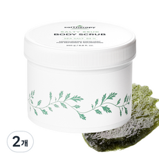 솔테라피 솔티 쑥 바디스크럽, 2개, 250g