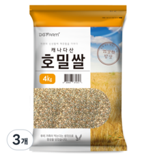 대구농산 캐나다산 호밀쌀, 4kg, 4kg, 3개