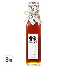 지리산한봉영농조합 국내산 밤꿀, 400g, 3개